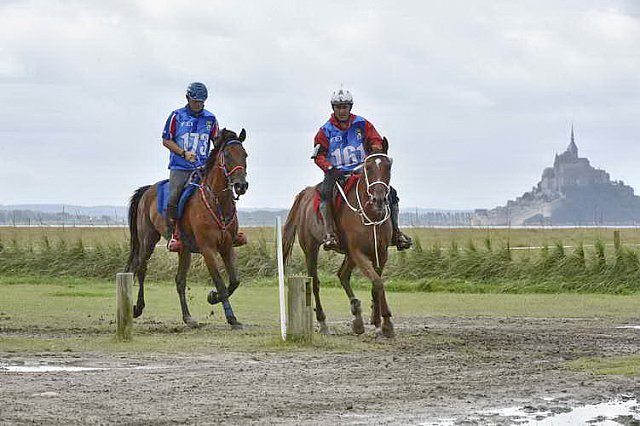 WEG-EnduranceRace-8-28-14-0002212-DDeRosaPhoto