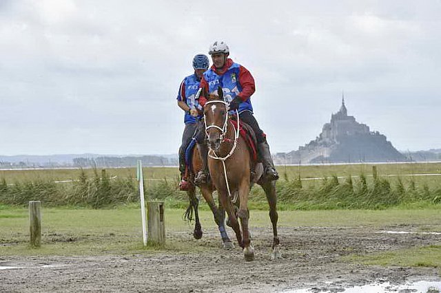 WEG-EnduranceRace-8-28-14-0002217-DDeRosaPhoto