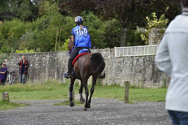 WEG-EnduranceRace-8-28-14-0002368-DDeRosaPhoto