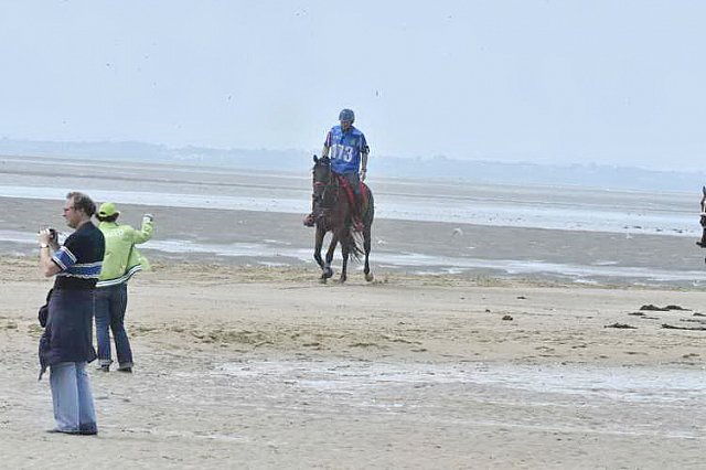 WEG-EnduranceRace-8-28-14-0003812-DDeRosaPhoto