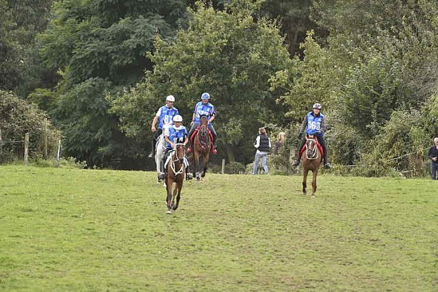 WEG-EnduranceRace-8-28-14-0005324-DDeRosaPhoto