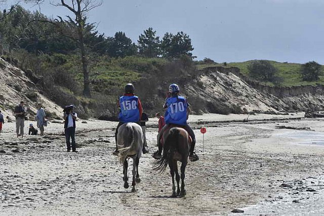 WEG-EnduranceRace-8-28-14-0003460-DDeRosaPhoto