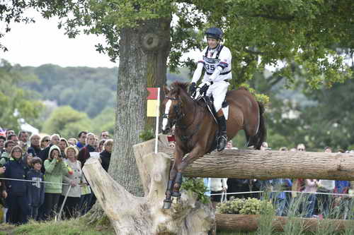 WEG1-Eventing-8-30-14-0008480-WilliamFox-Pitt-ChilliMorning-GBR-DDeRosaPhoto
