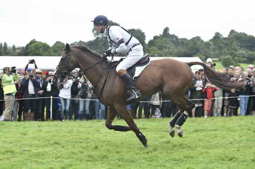 WEG1-Eventing-8-30-14-0008502-WilliamFox-Pitt-ChilliMorning-GBR-DDeRosaPhoto