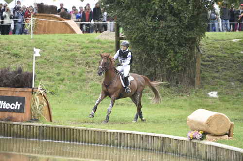 WEG2-Eventing-8-30-14-0000062-SandraAuffarth-OpgunLouvo-DDeRosaPhoto