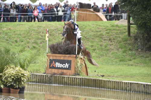 WEG2-Eventing-8-30-14-0000066-SandraAuffarth-OpgunLouvo-DDeRosaPhoto