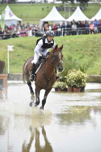 WEG2-Eventing-8-30-14-0000085-SandraAuffarth-OpgunLouvo-DDeRosaPhoto