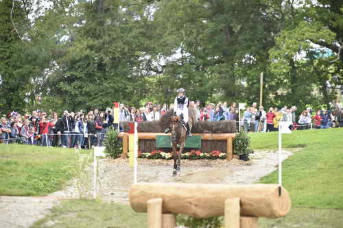 WEG2-Eventing-8-30-14-0000162-SandraAuffarth-OpgunLouvo-SaqndraAuffarth-OpgunLouvo-GER-DDeRosaPhoto