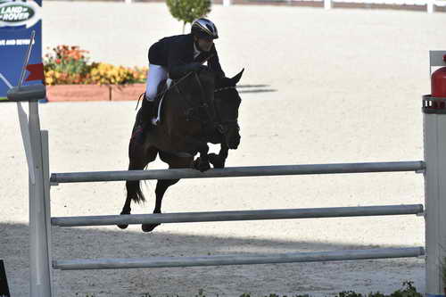 WEG-EventingSJ-8-31-14-0002832-MichaelJung-FischerrocanaFST-GER-DDeRosaPhoto