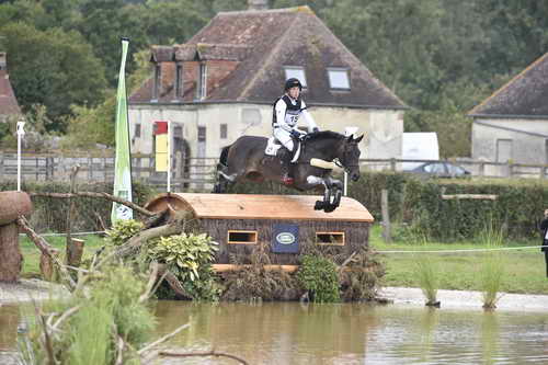 WEG1-Eventing-8-30-14-0007597-MichaelJung-FischerrocanaFST-GER-DDeRosaPhoto