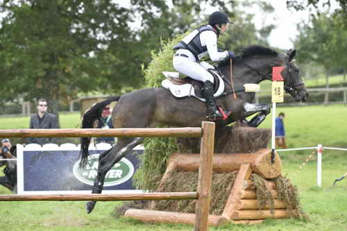 WEG1-Eventing-8-30-14-0007635-MichaelJung-FischerrocanaFST-GER-DDeRosaPhoto