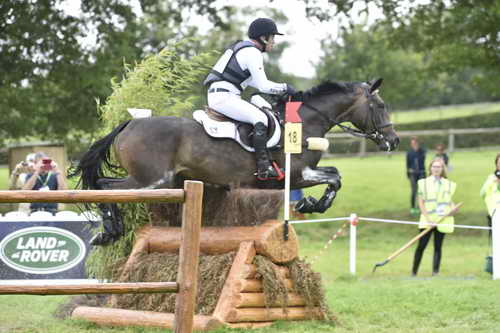 WEG1-Eventing-8-30-14-0007636-MichaelJung-FischerrocanaFST-GER-DDeRosaPhoto