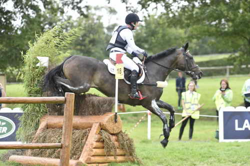 WEG1-Eventing-8-30-14-0007637-MichaelJung-FischerrocanaFST-GER-DDeRosaPhoto