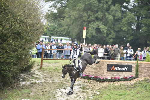 WEG1-Eventing-8-30-14-0009561-BoydMartin-Shamwari4-USA-DDeRosaPhoto