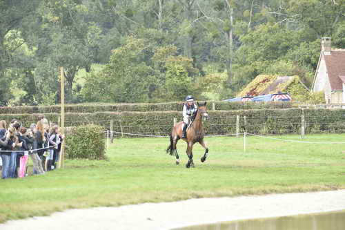 WEG1-Eventing-8-30-14-0006955-BuckDavidsonJr-BallynoeCastleRM-USA-osaPhoto