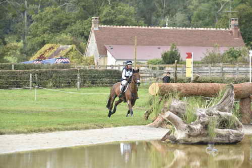 WEG1-Eventing-8-30-14-0006961-BuckDavidsonJr-BallynoeCastleRM-USA-osaPhoto