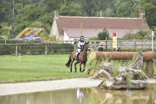 WEG1-Eventing-8-30-14-0006962-BuckDavidsonJr-BallynoeCastleRM-USA-osaPhoto