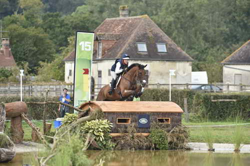 WEG1-Eventing-8-30-14-0006966-BuckDavidsonJr-BallynoeCastleRM-USA-osaPhoto