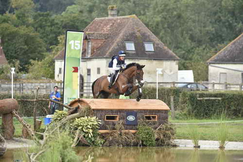 WEG1-Eventing-8-30-14-0006967-BuckDavidsonJr-BallynoeCastleRM-USA-osaPhoto