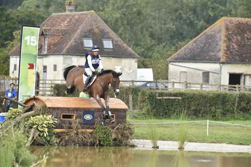 WEG1-Eventing-8-30-14-0006969-BuckDavidsonJr-BallynoeCastleRM-USA-osaPhoto