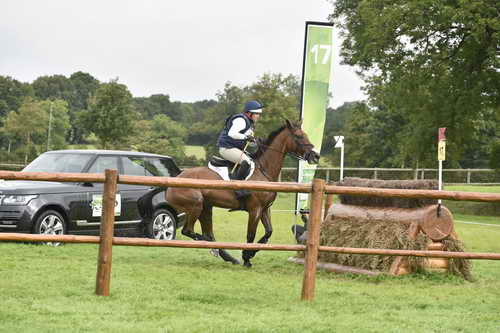 WEG1-Eventing-8-30-14-0007022-BuckDavidsonJr-BallynoeCastleRM-USA-osaPhoto