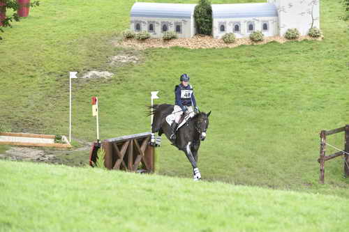 WEG1-Eventing-8-30-14-0008842-KimberlySeverson-FernhillFearless-USA-DDeRosaPhoto