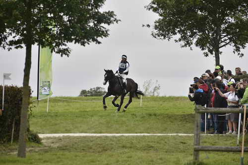 WEG1-Eventing-8-30-14-0008096-PhillipDutton-TradingAces-USA-DDeRosaPhoto