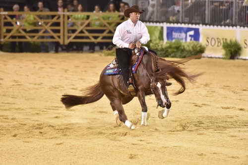 WEG-Reining-8-30-14-0000816-AndreaFappani-CustomCashAdvance-USA-DDeRosaPhoto