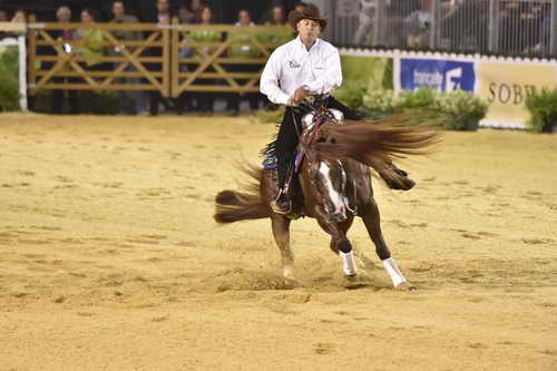 WEG-Reining-8-30-14-0000820-AndreaFappani-CustomCashAdvance-USA-DDeRosaPhoto