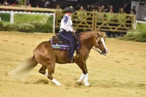 WEG-Reining-8-30-14-0000656-MandyMcCutcheon-YellowJersey-USA-DDeRosaPhoto