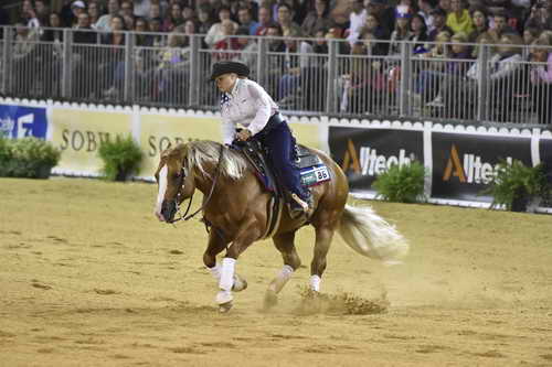 WEG-Reining-8-30-14-0000682-MandyMcCutcheon-YellowJersey-USA-DDeRosaPhoto