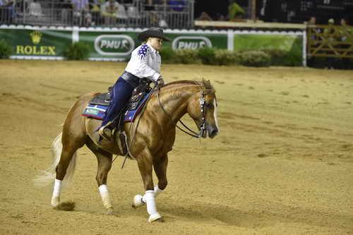 WEG-Reining-8-30-14-0000683-MandyMcCutcheon-YellowJersey-USA-DDeRosaPhoto