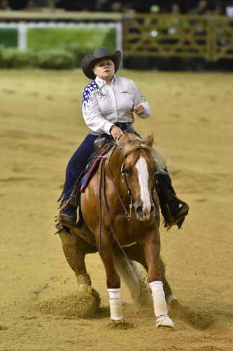 WEG-Reining-8-30-14-0000710-MandyMcCutcheon-YellowJersey-USA-DDeRosaPhoto