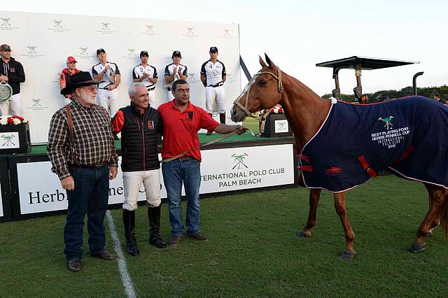 IPC-Polo-1-1-17-6087-DDeRosaPhoto