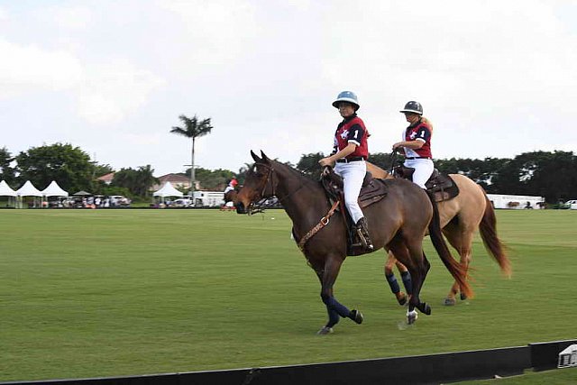 IPC-Polo-1-1-17-1062-DDeRosaPhoto