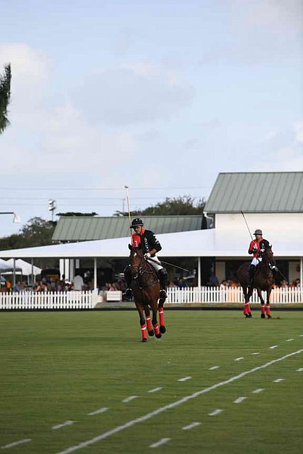 IPC-Polo-1-1-17-1190-DDeRosaPhoto