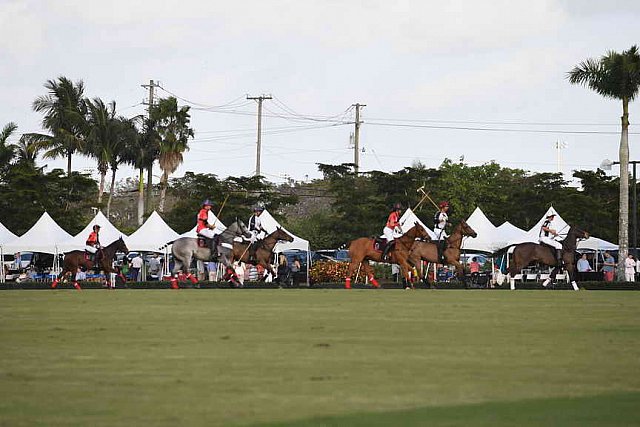 IPC-Polo-1-1-17-1234-DDeRosaPhoto