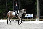 So8ths-5-4-12-Dressage-0828-RisaMoon-LilyB-DDeRosaPhoto